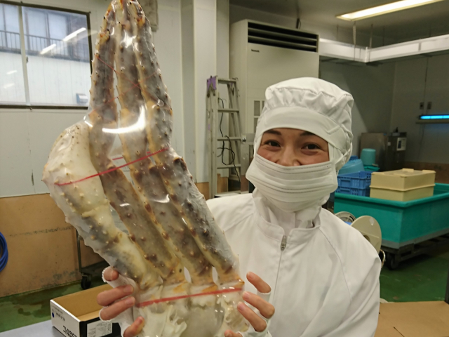 冷凍水産物の工場スタッフ