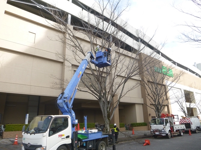 外構・造園工事の施工管理スタッフ
